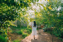 Vì sao sống gần thiên nhiên giúp chúng ta khỏe mạnh hơn?