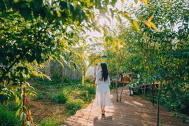 Vì sao sống gần thiên nhiên giúp chúng ta khỏe mạnh hơn?