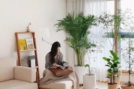 Bí quyết để sống khỏe, hạnh phúc trong cuộc sống hiện đại