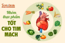 [INFOGRAPHIC]: Nhóm thực phẩm tốt cho tim mạch 