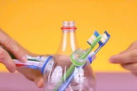 Tái sử dụng chai nhựa, hiểm họa từ thói quen tiện lợi