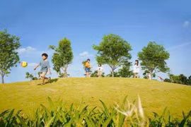 Tinh thần tốt nhờ môi trường sống trong lành