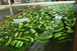 Hiểm họa từ hóa chất độc hại trong hoa quả