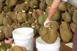 Hiểm họa tiềm ẩn từ hoa quả ngâm hóa chất 