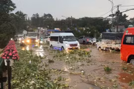 Mưa lớn gây ngập cục bộ ở Đà Lạt, 2 người tử vong do sạt lở đất