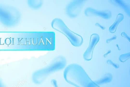 Sử dụng lợi khuẩn đúng cách để cơ thể khỏe mạnh