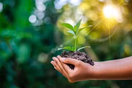 Sống xanh để khỏe mạnh, cân bằng