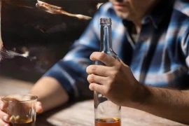 Rượu bia âm thầm hủy hoại não bộ