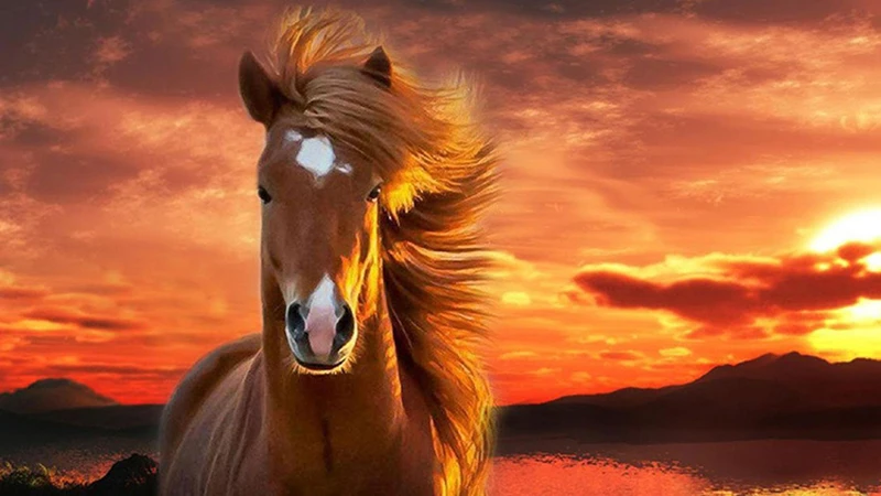 Chúc mừng 3 con giáp may mắn nhất tuần mới, tha hồ 'hốt bạc'