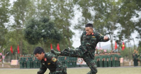 Cận cảnh những màn võ thuật của chiến sỹ Quân đoàn 12