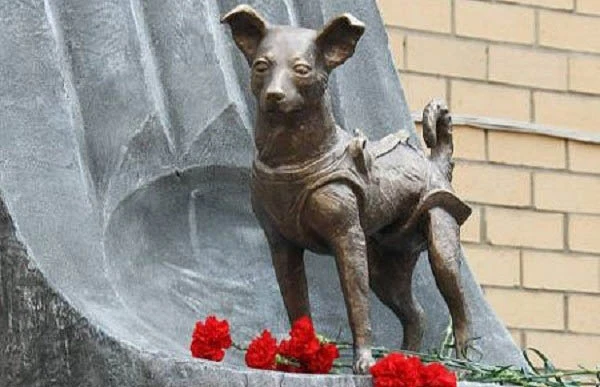 4 con vật lừng danh trong lịch sử loài người