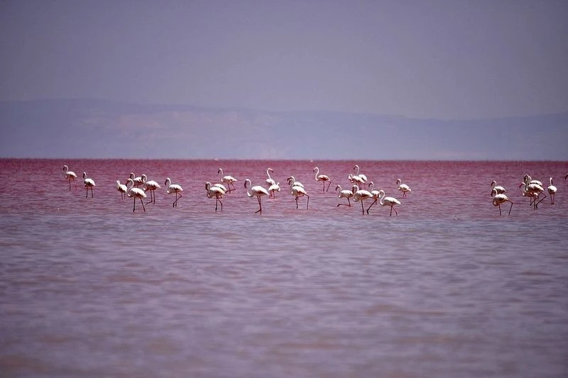 Kỳ lạ hồ muối màu đỏ như máu ở Thổ Nhĩ Kỳ