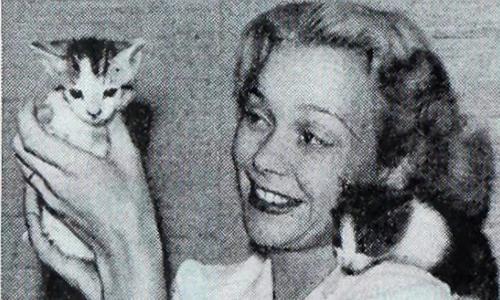 8 sự thật đáng kinh ngạc về các thiên tài