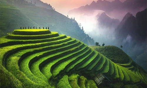 Ruộng bậc thang Việt Nam lọt Top điểm nên đến một lần trong đời 