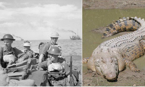 Bí mật kinh thiên của những hòn đảo nổi tiếng thế giới 