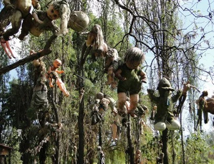 Lạnh người “búp bê ma” treo cây 