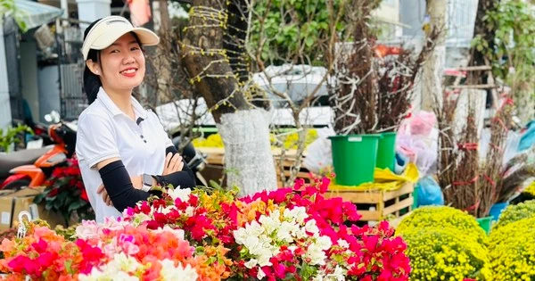 Đà Nẵng: Nhiều tuyến phố rực rỡ sắc hoa đón Tết