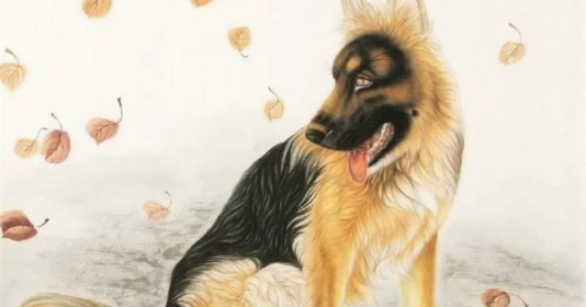 Từ 2023-2031: 4 con giáp cá chép hóa rồng, tiền của rủng rỉnh