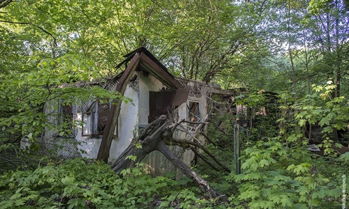 Hoang lạnh những “ngôi nhà ma” sau thảm họa hạt nhân