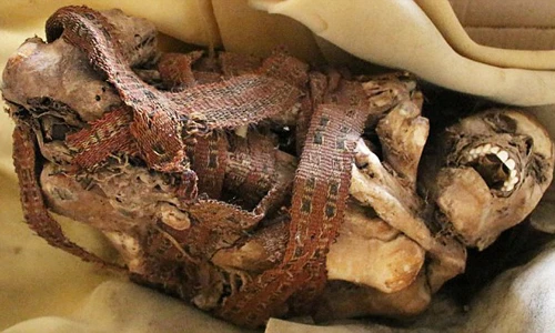 Đứng tim với xác ướp mỉm cười 900 năm tuổi 