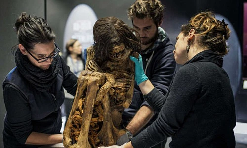 Kỳ quái cách ướp xác người lớn trong tư thế thai nhi