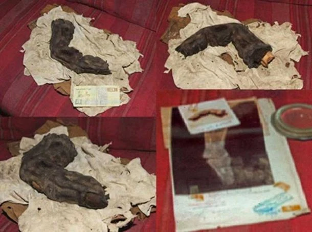 Ba bức ảnh cực bí ẩn khiến thiên tài cũng "nhũn não"