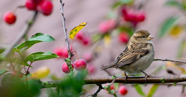Cày hết sức, chơi hết mình, 5 con giáp thăng hoa tháng 3 Âm