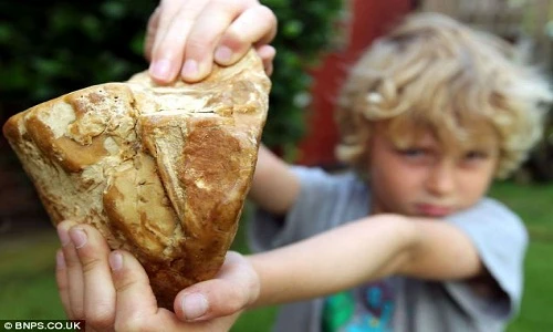 Kinh ngạc những kho báu cực khủng được tìm thấy bất ngờ