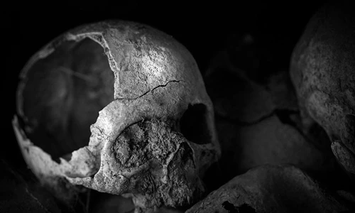 Bí mật lần đầu hé lộ về Chiến tranh thế giới 1