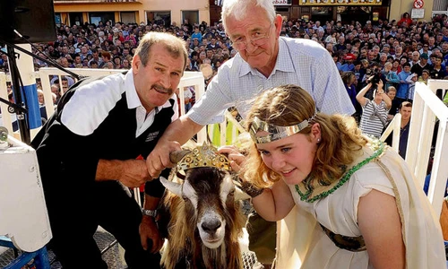 Lạ lùng lễ hội dê được tôn sùng làm vua 