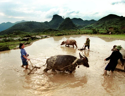 Ảnh mới nhất về cuộc sống người Việt trên báo Mỹ 