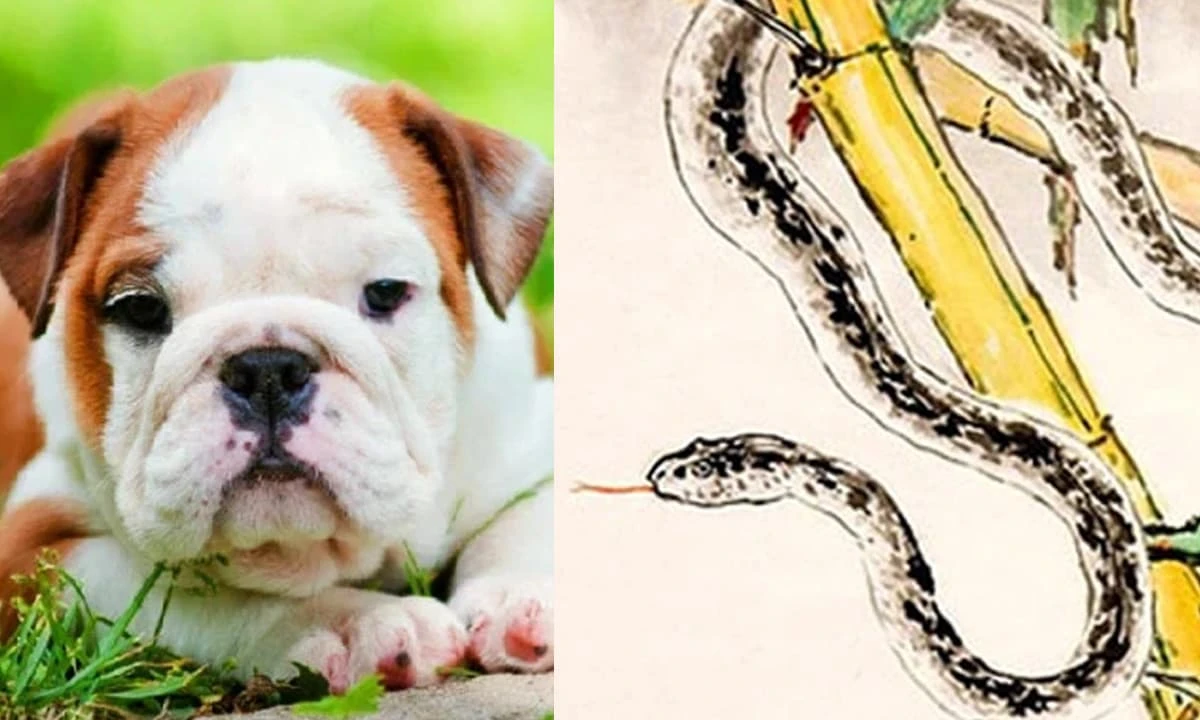 Cuối tháng 6/2023: Thần Tài nâng đỡ 3 con giáp may mắn phi thường 