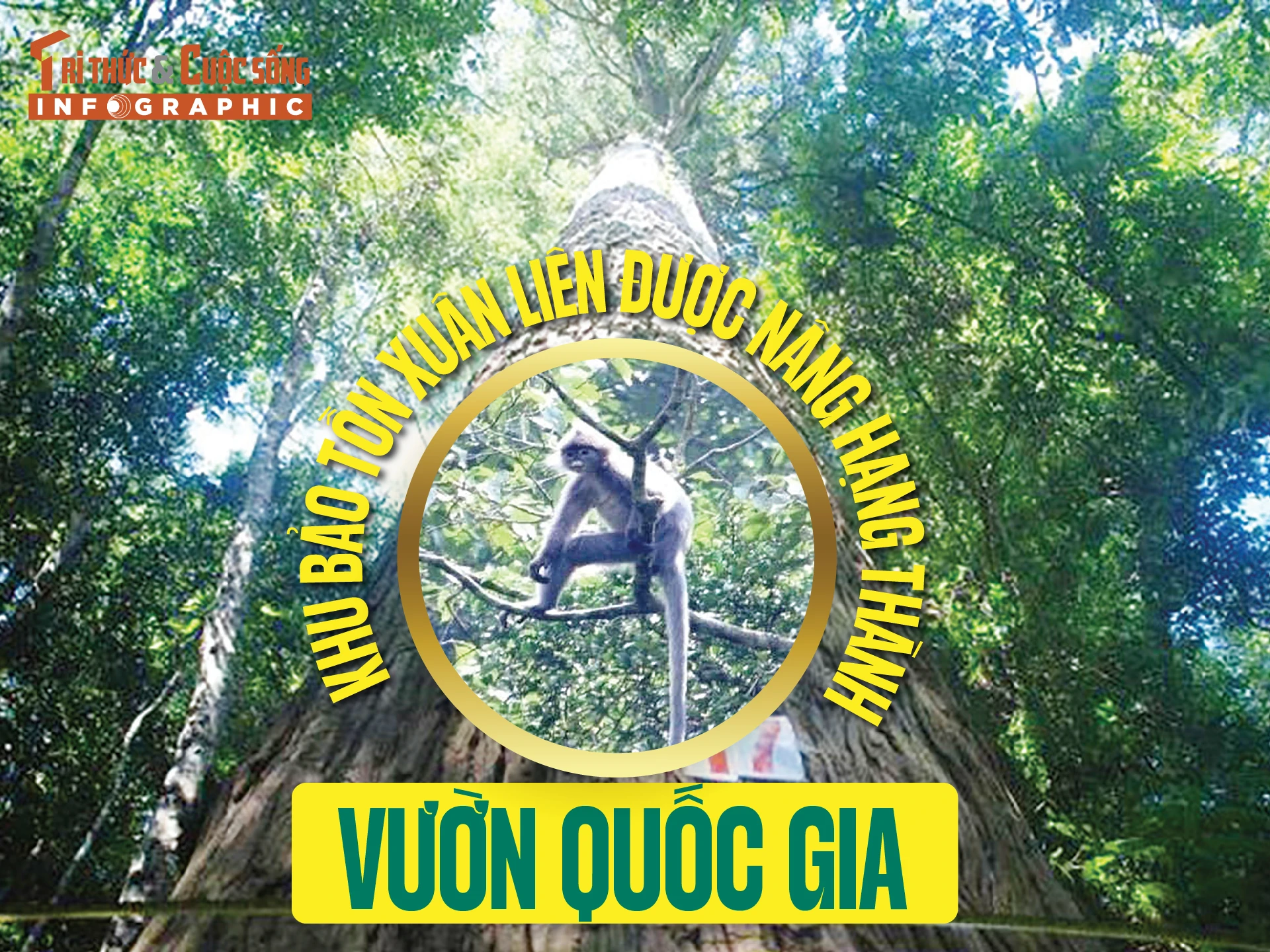 [INFOGRAPHIC] Khu bảo tồn Xuân Liên được nâng hạng thành vườn quốc gia