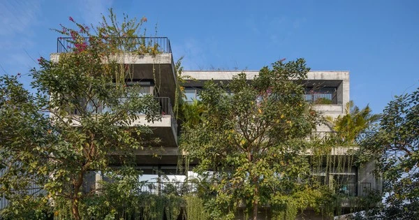 Ngỡ ngàng với văn phòng làm việc được bao quanh bởi nước và cây xanh