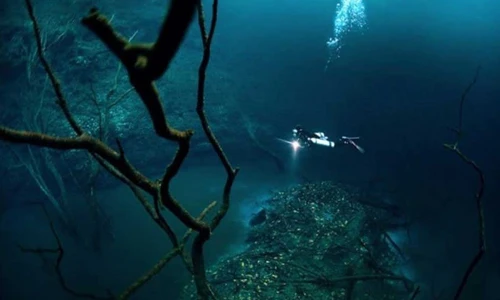 Top phát hiện gây sốc được tìm thấy ở đại dương