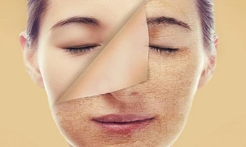 10 sự thật cực khó tin giúp con người mở mang tầm mắt