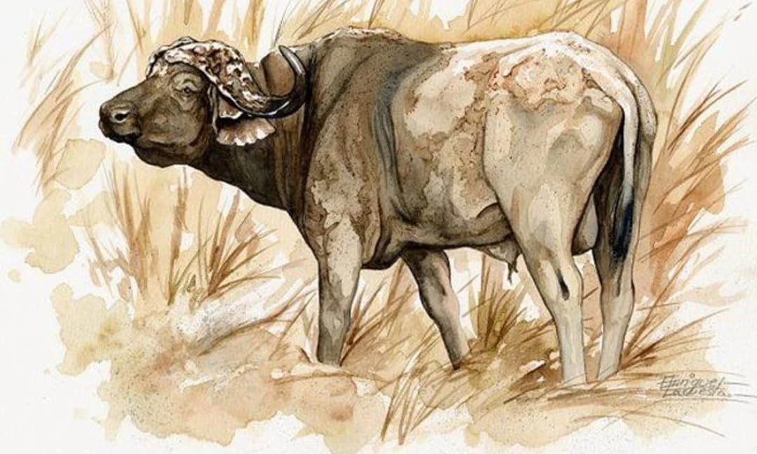 Thiên thời địa lợi, 3 con giáp tiền tỷ cầm chắc trong tay ba năm tới