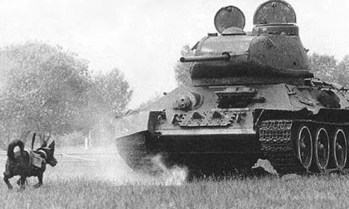 Giải mã 5 vũ khí kỳ lạ nhất từng được chế tạo