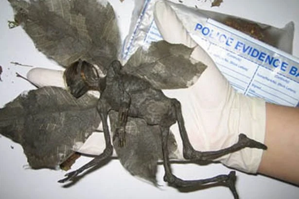 Top 10 cú lừa trong ngày Cá Tháng Tư kinh điển nhất lịch sử