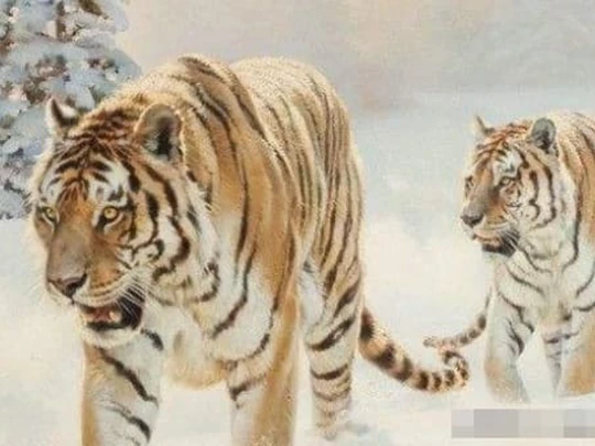 Top 5 con giáp giàu lên theo từng năm cuối đời giàu nứt vách