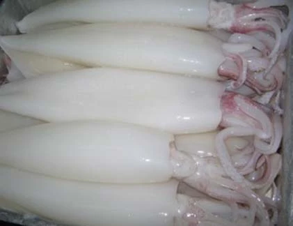 Rùng mình mực tươi trắng nõn nhờ hoá chất