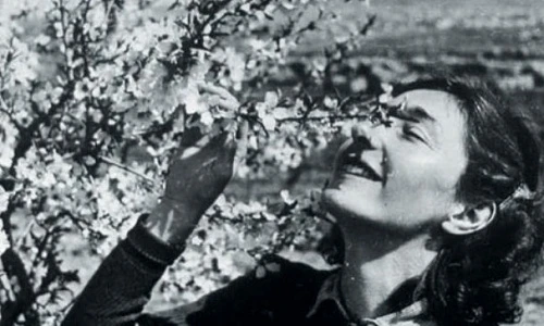 Sự thật bất ngờ về nữ điệp viên huyền thoại Krystyna Skarbek 