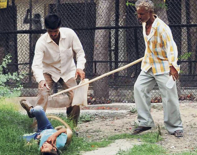 Kinh hoàng bé trai bị khỉ “điên” tấn công trọng thương