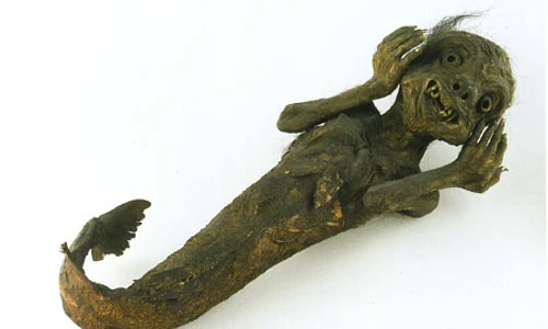 Kinh hồn bạt vía với xác ướp nàng tiên cá lai khỉ