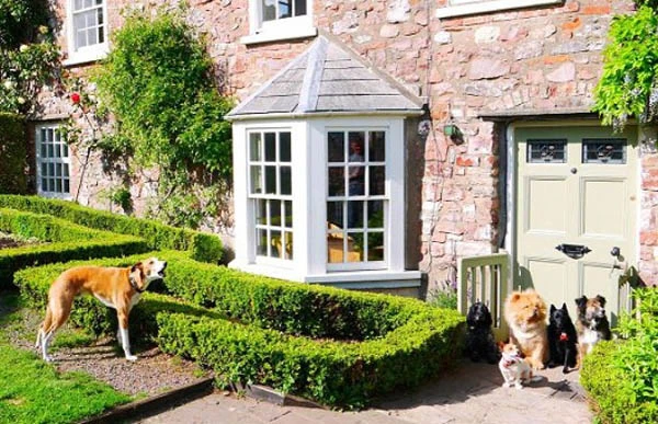 Đại gia chơi trội, chi 1,6 tỷ cho... chó nghỉ dưỡng 