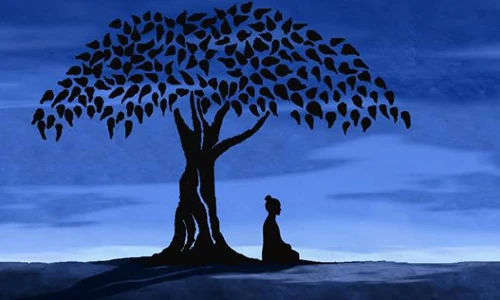 Giải mã ý nghĩa thiêng liêng của cây Bồ đề