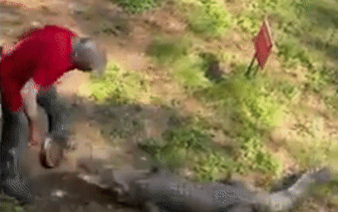 Bi ca sau tan cong, nguoi dan ong cam chao dap 'khong truot phat nao'