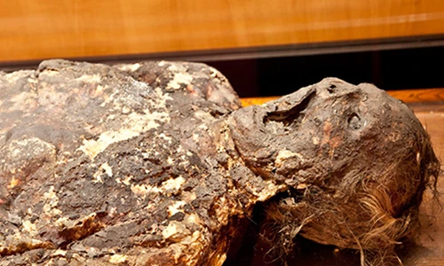 Top những điều hãi hùng con người làm với tử thi