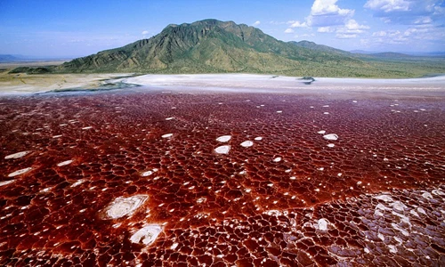 Những hiện tượng bí hiểm xuyên thời đại đánh đố con người