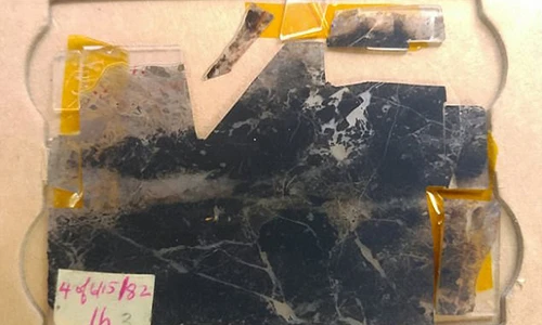 Sửng sốt bằng chứng lâu đời nhất về sự sống trên Trái Đất